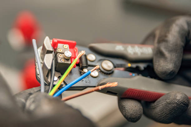 Best Affordable Electrician  in Lealman, FL