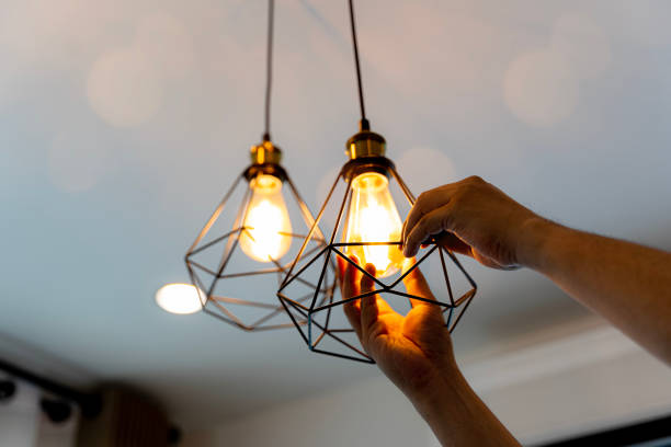Best Industrial Electrical Services  in Lealman, FL