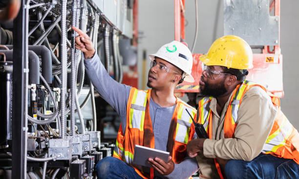 Best Affordable Electrician  in Lealman, FL